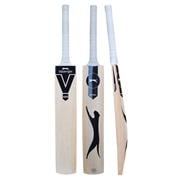 Adv V400 Bat H43